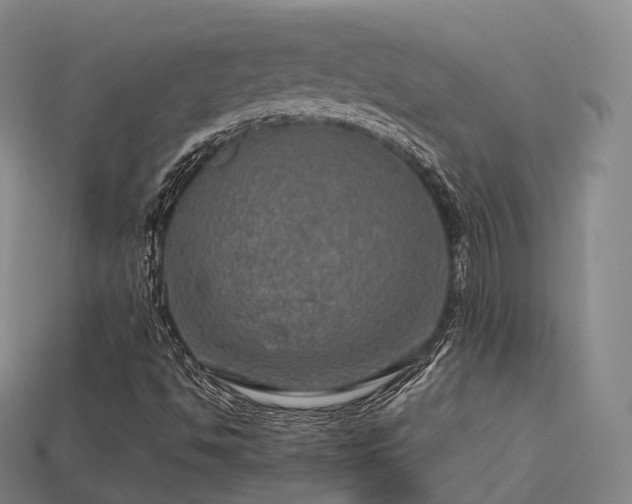 X0000113601494200909251145