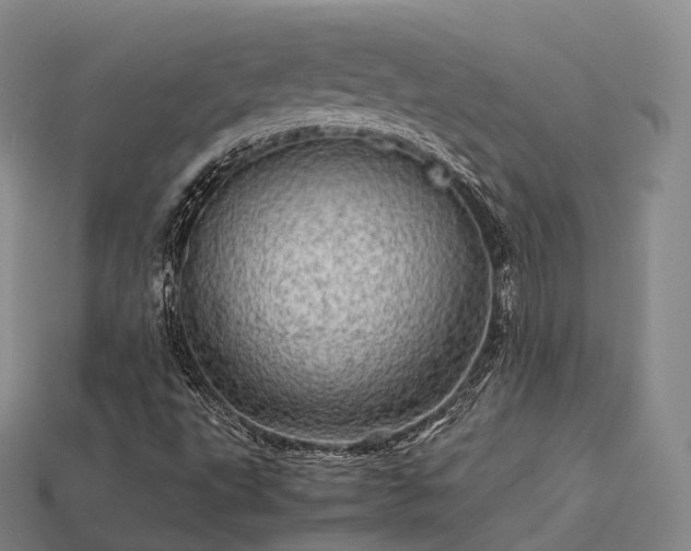 X0000113601495200909251145