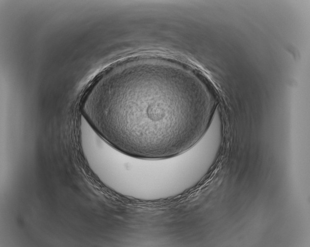 X0000113601496200909251145