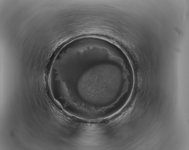 X0000113601497200909251145