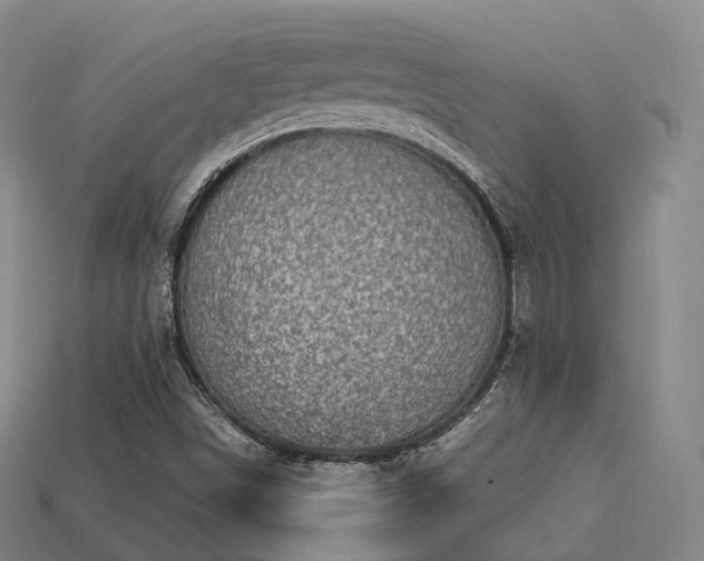 X0000113601498200909251145