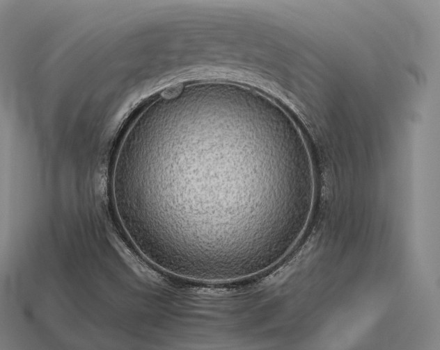 X0000113601499200909251145