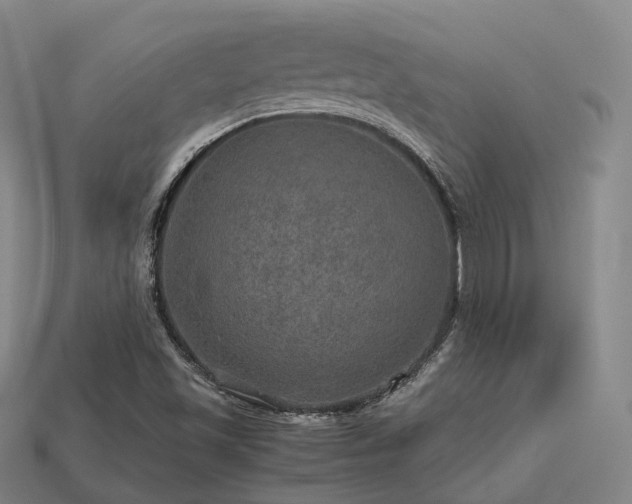 X0000113601501200909251145