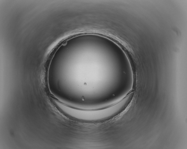 X0000113601502200909251145