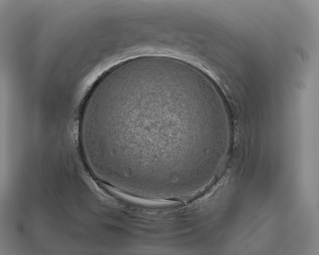 X0000113601503200909251145