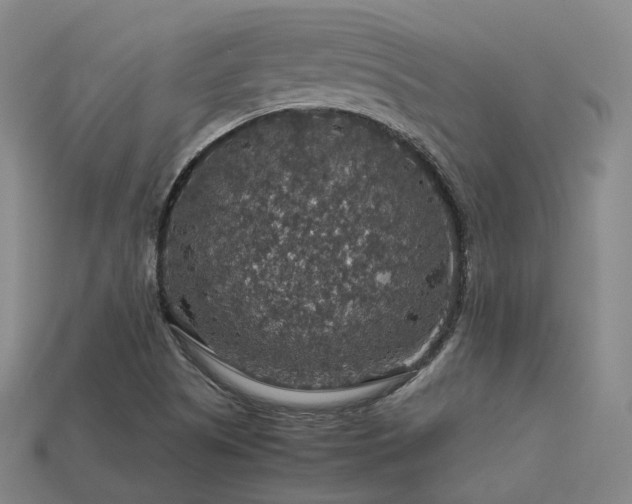 X0000113601505200909251145