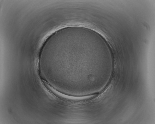 X0000113601507200909251145