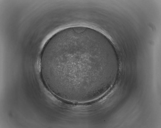 X0000113601510200909251145