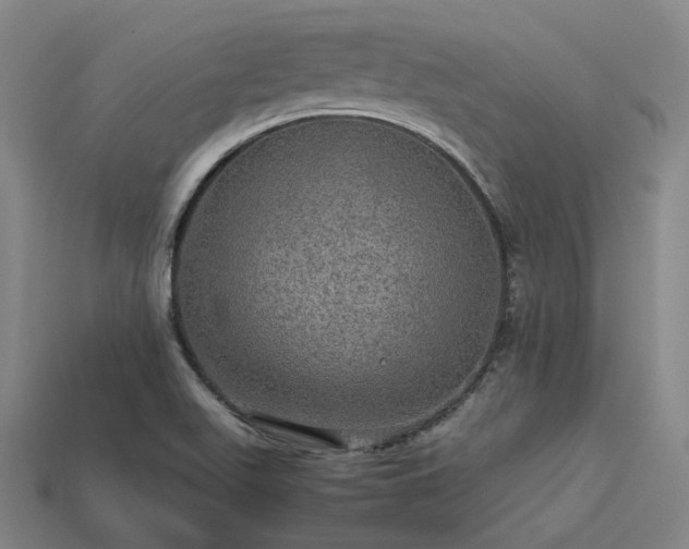 X0000113601511200909251145