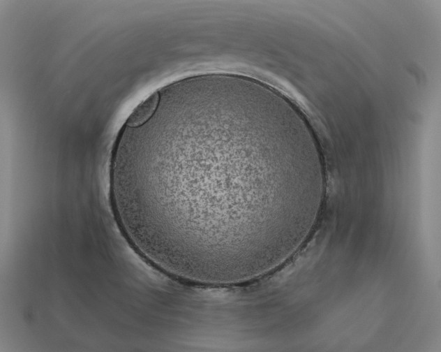 X0000113601512200909251145