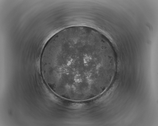 X0000113601513200909251145