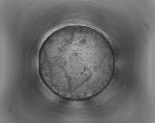 X0000113601514200909251146