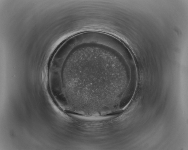 X0000113601515200909251146