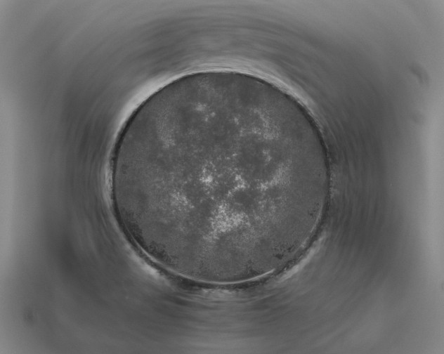 X0000113601517200909251146