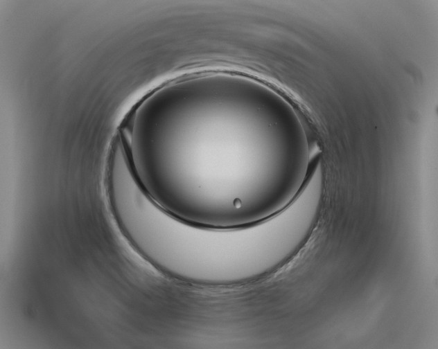 X0000113601518200909251146