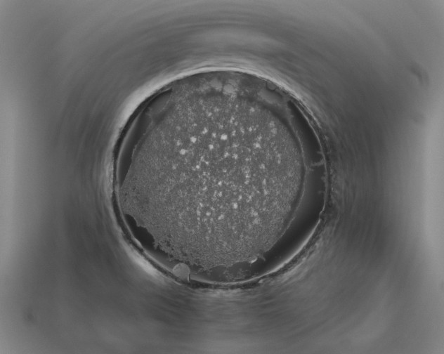 X0000113601519200909251146