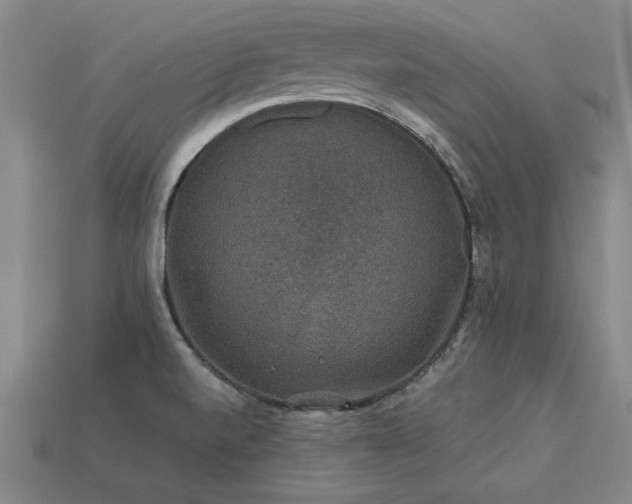 X0000113601520200909251146