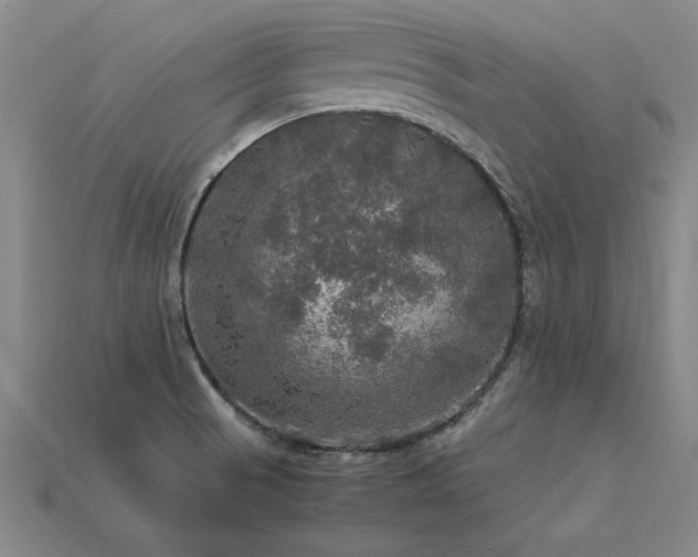 X0000113601521200909251146