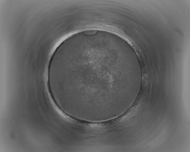 X0000113601523200909251146