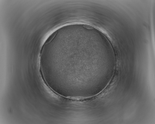 X0000113601524200909251146