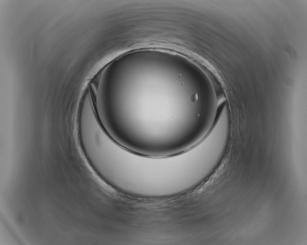 X0000113601525200909251146