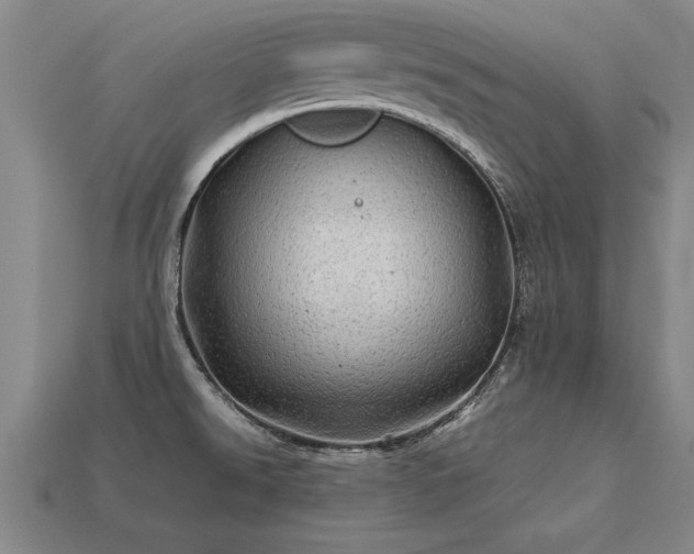 X0000113601526200909251146