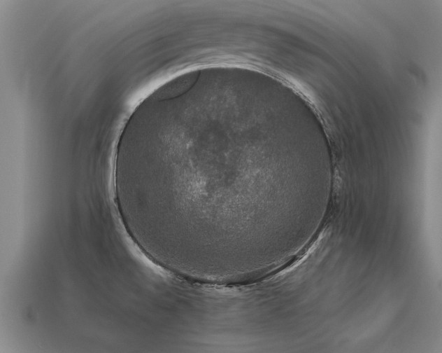 X0000113601528200909251146