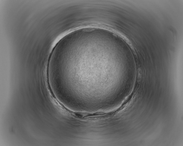 X0000113601530200909251146