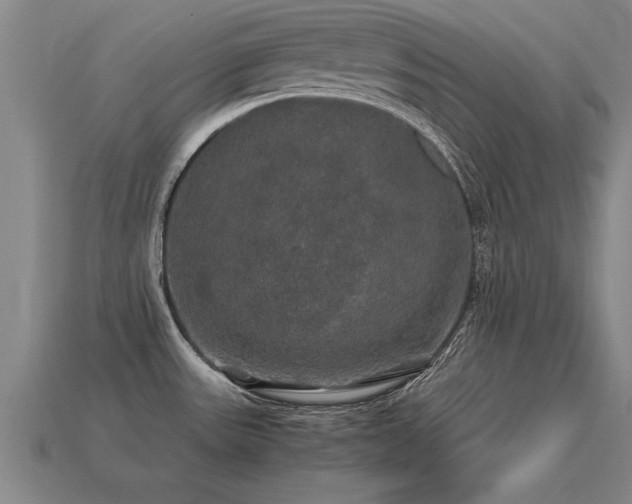 X0000113601531200909251146