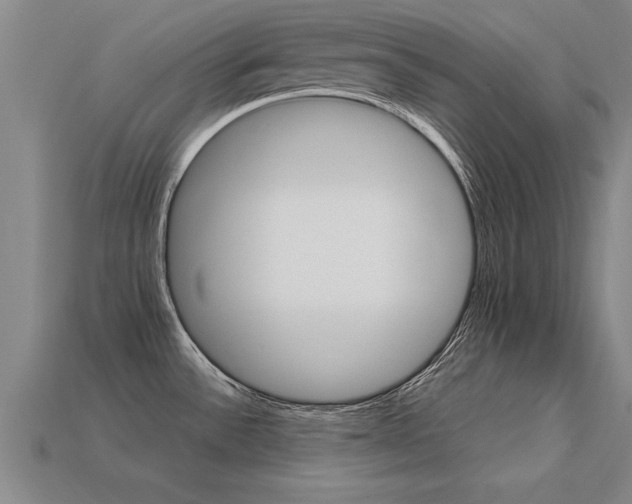 X0000113601532200909251146