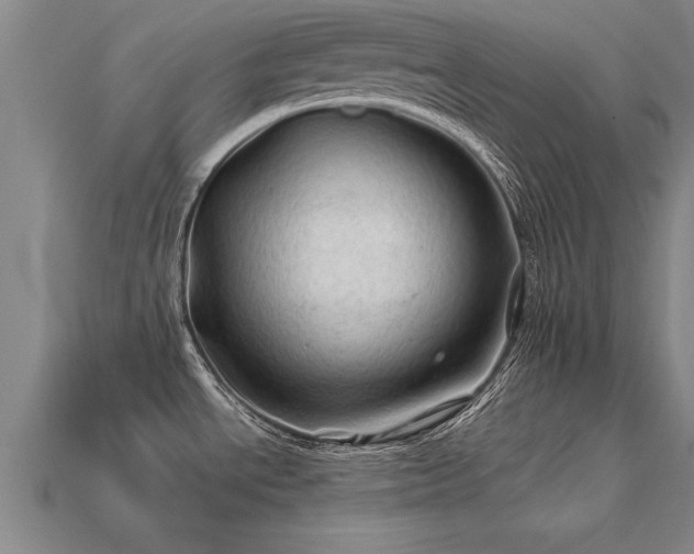 X0000113601534200909251146