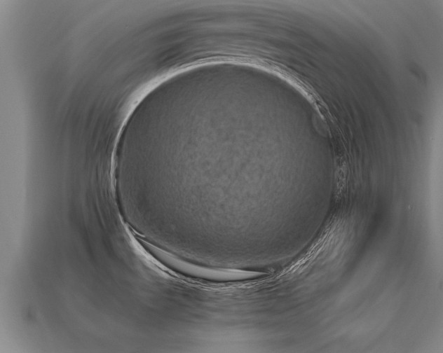 X0000113601535200909251146