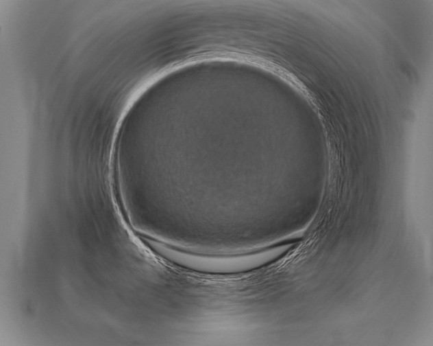 X0000113601536200909251146