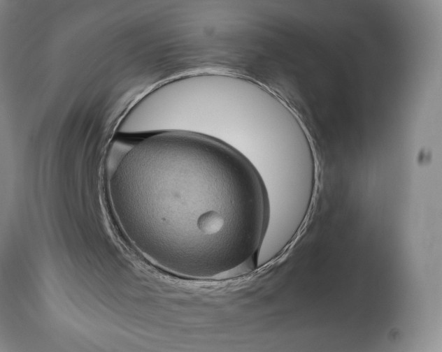 X0000113600001200910021752