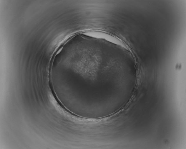 X0000113600002200910021752