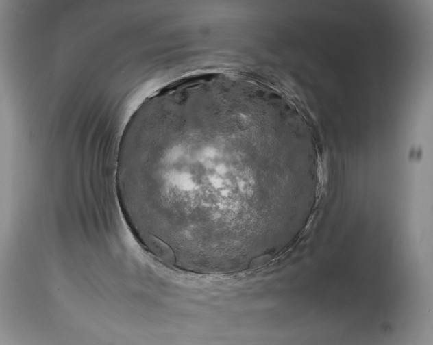 X0000113600003200910021752