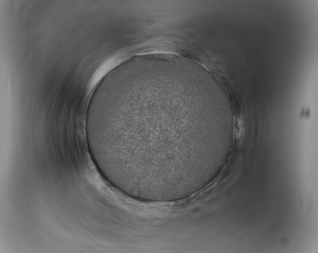 X0000113600004200910021752