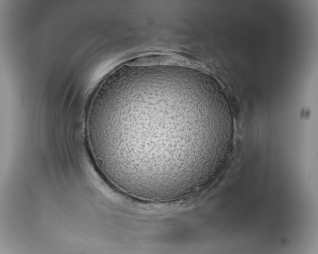 X0000113600005200910021752