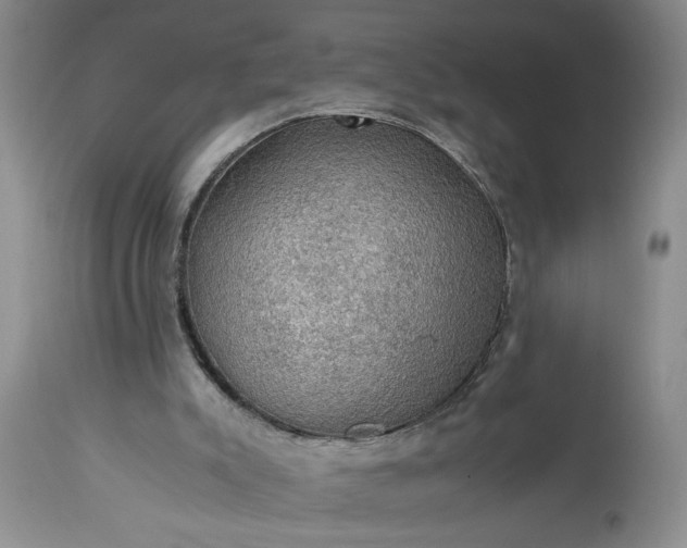 X0000113600007200910021752