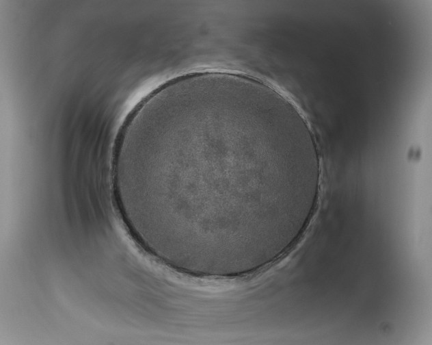 X0000113600008200910021751