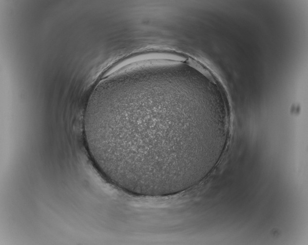 X0000113600009200910021751