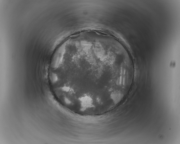 X0000113600010200910021751