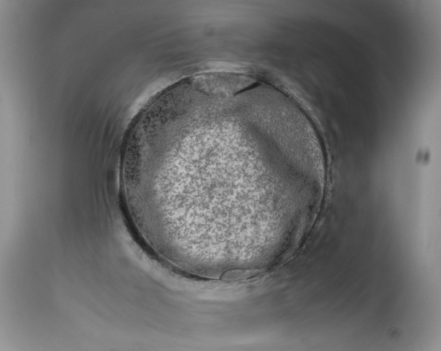 X0000113600011200910021751