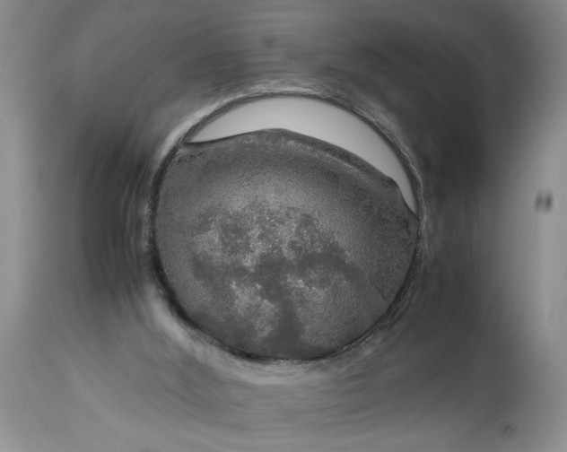 X0000113600012200910021751