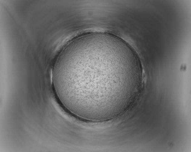 X0000113600013200910021751