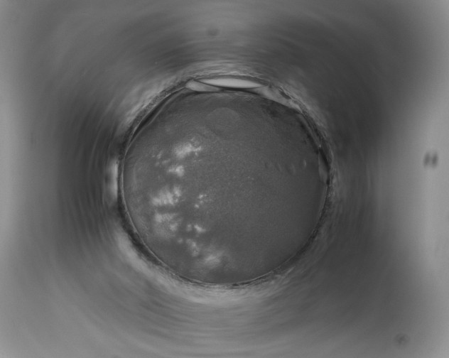 X0000113600014200910021751