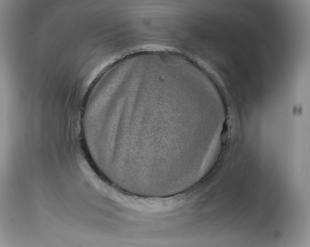 X0000113600015200910021751