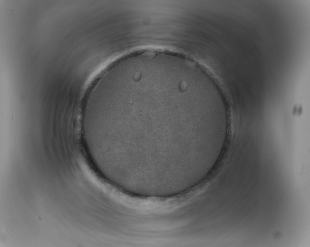 X0000113600016200910021751