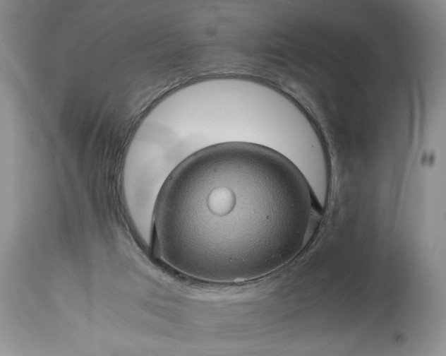 X0000113600017200910021751