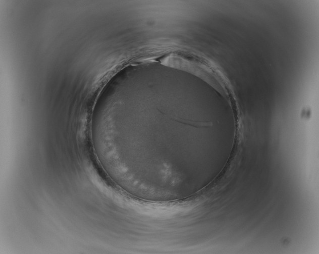 X0000113600018200910021751